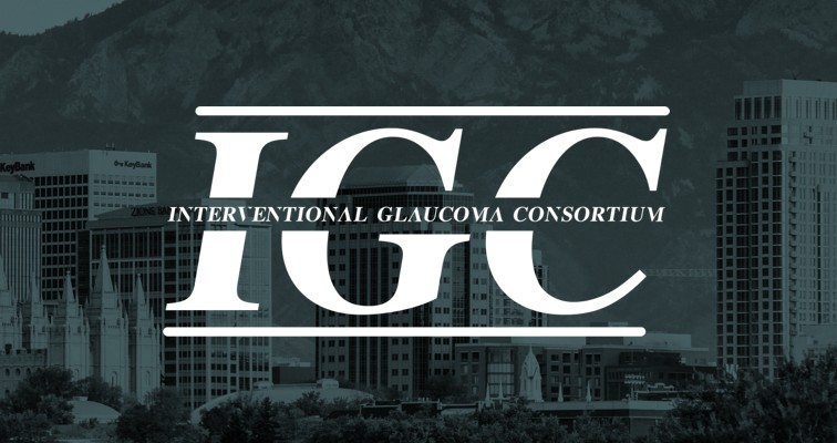 IGC 2025